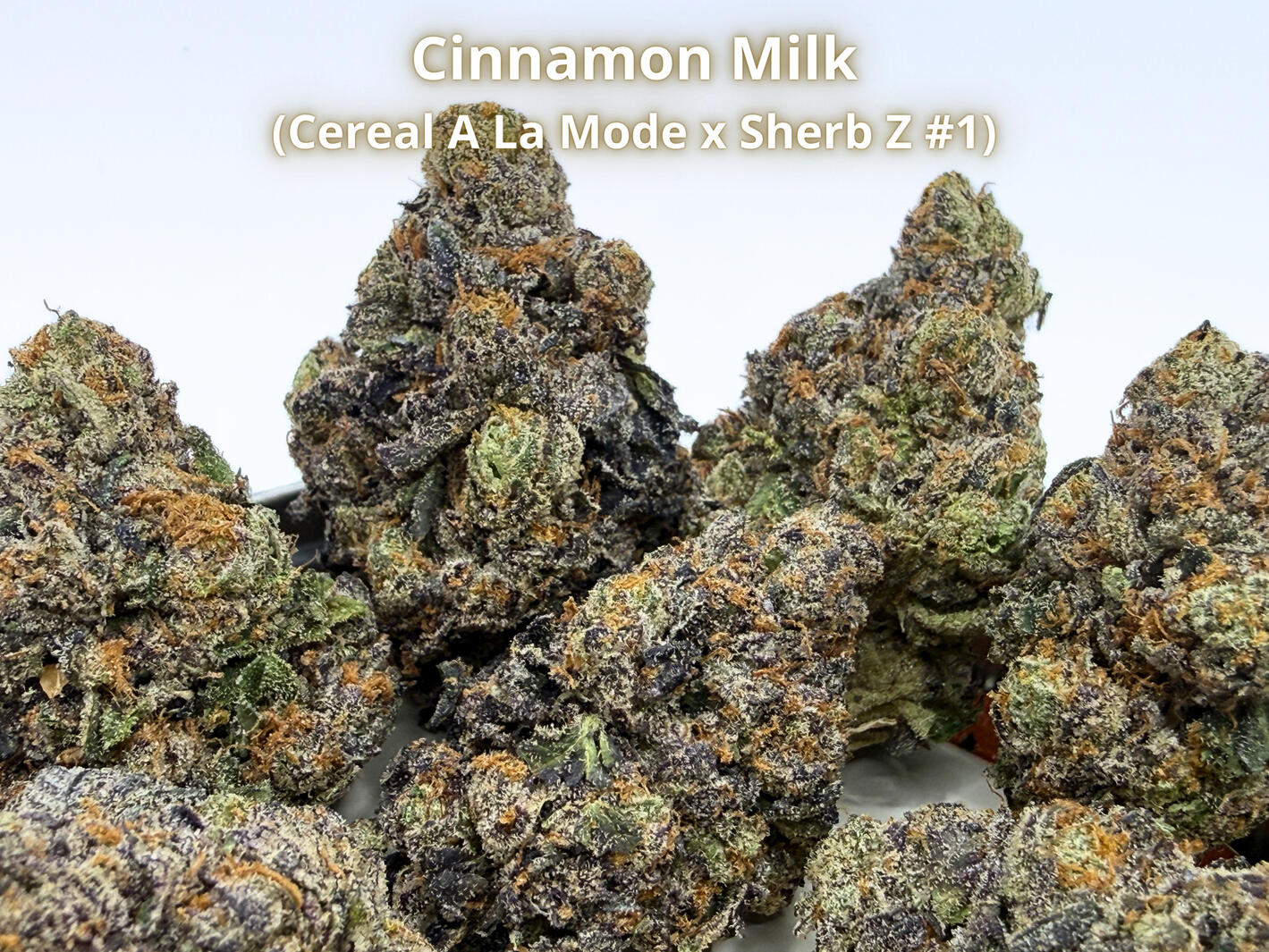 Premium Cinnamon Milk THCa hemp flower